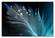 Peacock Feather w/Water Droplets Acrylic Print Unframed Wall Art by Amazing Rugs