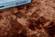Lily Luxury Brown Tie-Die Chinchilla Faux Fur Area Rug by Amazing Rugs