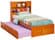 Newport Bookcase Platform Bed with Mattress Set