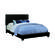 Dorian Black Upholstered Bed by Coaster