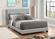 Dorian Grey Upholstered Bed by Coaster