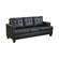 Samuel Black Sofa Sleeper by Coaster