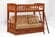Cinnamon Futon Bunk Bed by Night & Day Furniture