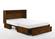Daisy Queen Murphy Cabinet Bed Black Walnut by Night & Day Furniture
