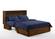 Daisy Queen Murphy Cabinet Bed Black Walnut by Night & Day Furniture
