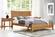 Willow Caramelized 1 Drawer Nightstand by Greenington