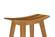 Tigris Caramelized Inlay Counter Height Stool (Set of 2) by Greenington