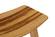 Tigris Caramelized Inlay Counter Height Stool (Set of 2) by Greenington