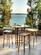 Tulip Counter Height Table Caramelized by Greenington
