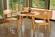 Currant Dining Chair (Set of 2) Caramelized by Greenington