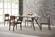 Currant Dining Chair (Set of 2) Sable by Greenington