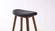 Corona Exotic Counter Height Stool (Set of 2) by Greenington