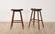 Corona Exotic Counter Height Stool (Set of 2) by Greenington