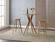 Mimosa Caramelized Bar Height Table by Greenington