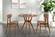Cassia Dining Chair (Set of 2) Amber by Greenington