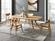 Cassia Dining Chair (Set of 2) Caramelized by Greenington