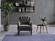 Pearle Gray Accent Armchair by Bellona