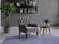 Pearle Gray Accent Armchair by Bellona