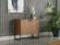 Avenir Lexington/Xelio Oak 2 Door Console by Bellona
