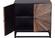 Astral Plains Natural Reclaimed 2 Door Accent Cabinet by Jofran