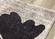 Breeze Blue Cream Black Poppies Rug by Kalora