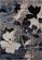 Breeze Blue Cream Black Poppies Rug by Kalora
