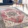 Serene Pink Cream Blue Elaborate Border Rug by Kalora