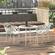 Devon White Tree Design Glass Top Aluminum Base Indoor/Outdoor Bistro Dining Table by LeisureMod