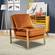 Jefferson Velvet Design Accent Armchair With Gold Frame Orange Marmalade by LeisureMod