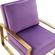 Jefferson Velvet Design Accent Armchair With Gold Frame Purple by LeisureMod