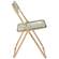 Lawrence Amber Acrylic Folding Chair w/Gold Metal Frame (Set of 2) by LeisureMod