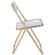 Lawrence Clear Acrylic Folding Chair w/Gold Metal Frame by LeisureMod