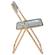 Lawrence Transparent Black Acrylic Folding Chair w/Gold Metal Frame by LeisureMod