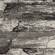 Landscapes Grey Highlights Area Rug by KAS Rugs