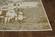 Luna Ivory/Gold Escape Area Rug by KAS Rugs