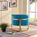 Carter Aqua Velvet Accent Chair by Meridian Furniture