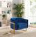 Carter Navy Blue Velvet Accent Chair by Meridian Furniture