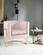 Carter Pink Velvet Accent Chair by Meridian Furniture