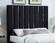 Enzo Black Velvet Bed by Meridian Furniture