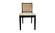 Orville Black Dining Chair (Set of 2) by Moe's Home Collection