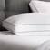 Shredded Queen Memory Foam Pillow (Pack of 1) by Weekender