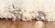 Merino Ivory/Grey Southern Area Rug by KAS Rugs