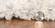 Merino Ivory/Blue Cityscape Area Rug by KAS Rugs