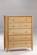 Clove Chest (5 Drawers) by Night & Day Furniture
