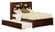 Newport Antique Walnut Bookcase Platform Bed by Atlantic Furniture