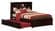 Newport Espresso Bookcase Platform Bed by Atlantic Furniture