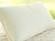 Kapok Organic Pillow by Savvy Rest
