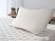 Kapok Organic Pillow by Savvy Rest