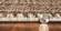 Provo Mocha Izteca Area Rug by KAS Rugs