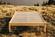 The Afton Natural Platform Bed by Savvy Rest